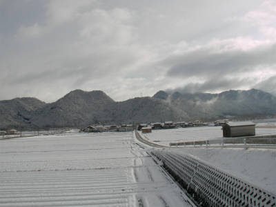 丹波市氷上町の雪 なるく丹波